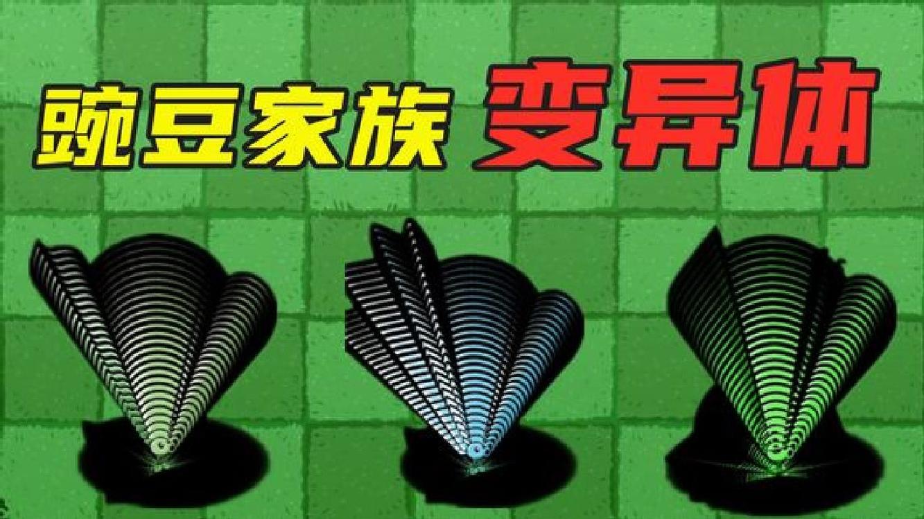 爱游戏在线登录-维戈塞尔塔对决厄瓜尔雷家族，实力对比