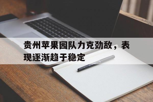 爱游戏官网入口-贵州苹果园队力克劲敌，表现逐渐趋于稳定的简单介绍