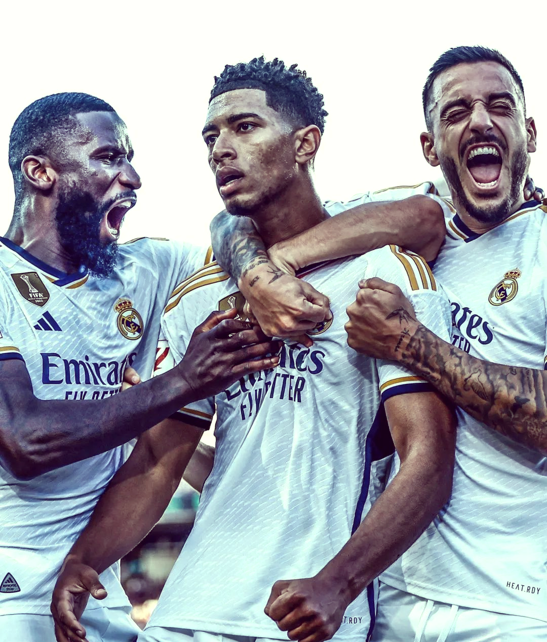 包含热门球队惊险逆转,赛季前景一片光明的词条 包含热门球队惊险逆转,赛季前景一片光明的词条